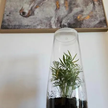 Apartmán Arbre Blanc, Folie Montpellieraine