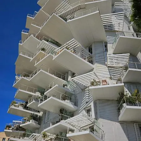 Arbre Blanc, Folie Montpellieraine Montpellier