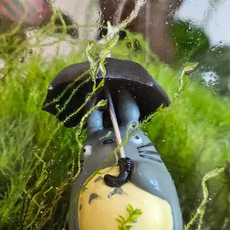 Arbre Blanc, Folie Montpelliéraine Apartamento *