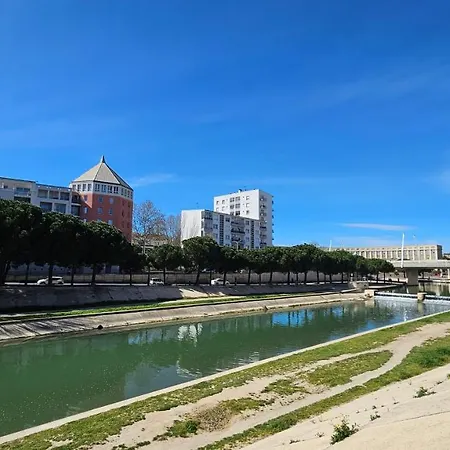 Arbre Blanc, Folie Montpelliéraine Montpellier