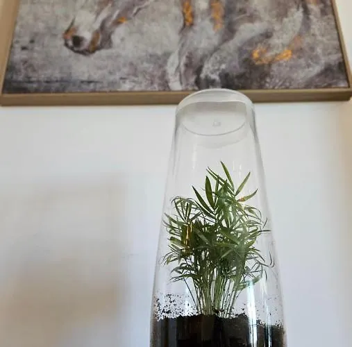 Apartamento Arbre Blanc, Folie Montpellieraine