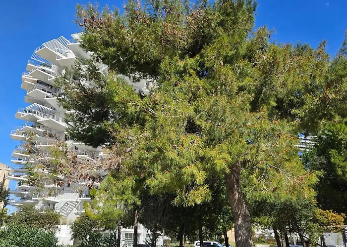Arbre Blanc, Folie Montpellieraine Montpellier